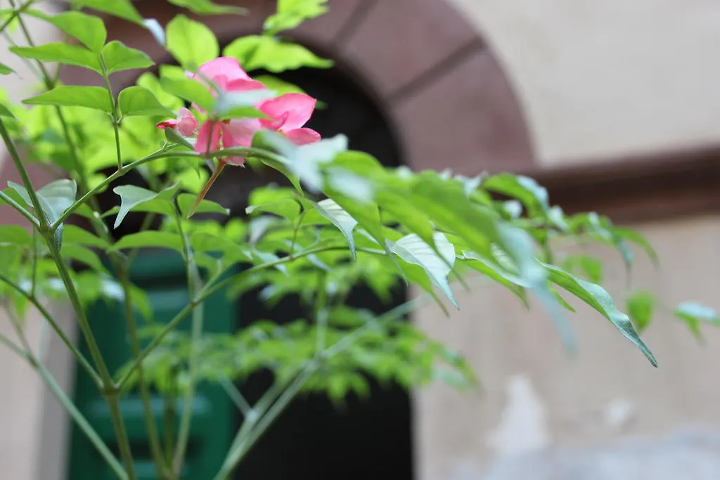 Abaco Bed & Breakfast Bed & Breakfast Rome